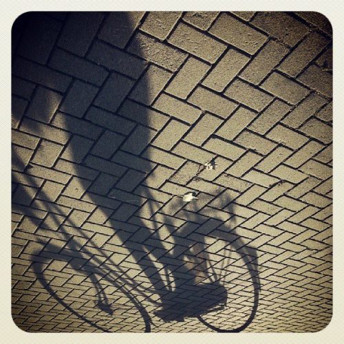 ML0033-schaduw-fiets - instagram- fotografie van Marjolein Lensink - fotografie - Zaansgroen