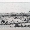 Het Veld - Enge Wormer 5/7