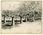 Gerrit de Jong bomen