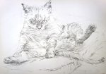 Joost van der Krogt tekening