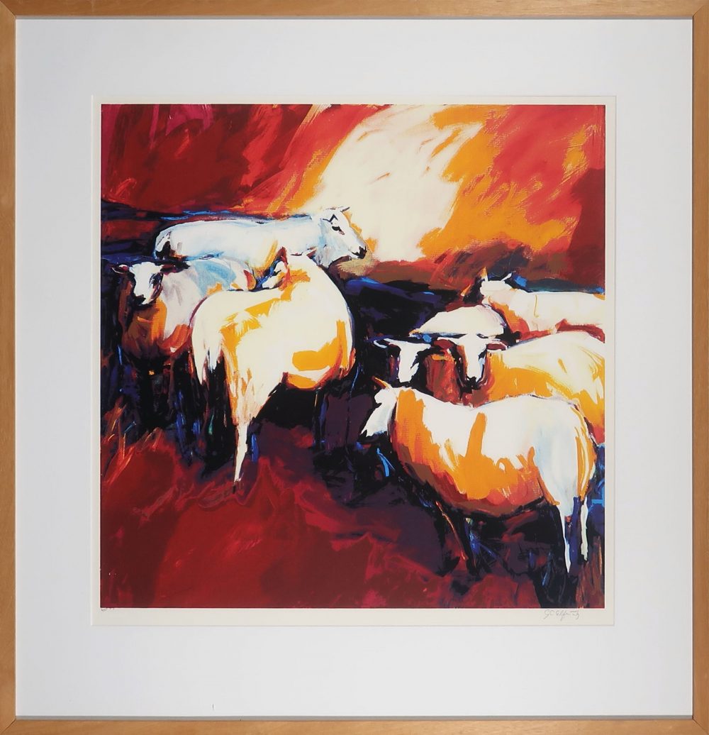 gerda-elfring-schapen