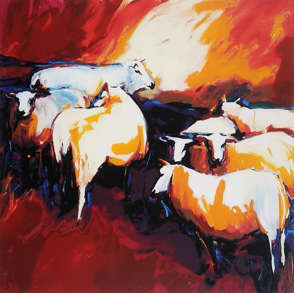 gerda-elfring-schapen