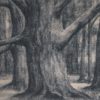 Oude Beuk - Afbeelding 2