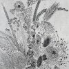 Dry Flowers II 11/25 - Afbeelding 3