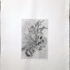 Dry Flowers II 11/25 - Afbeelding 2