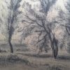 De Visser - Afbeelding 5