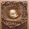 Zuil met Embryo - Afbeelding 4