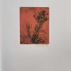 Zonder titel - Afbeelding 2