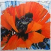 Papaver e/a - Afbeelding 2