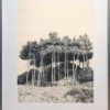 Duinen