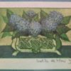 Hortensia's - Afbeelding 2