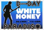 White Honey - 8 november 1979