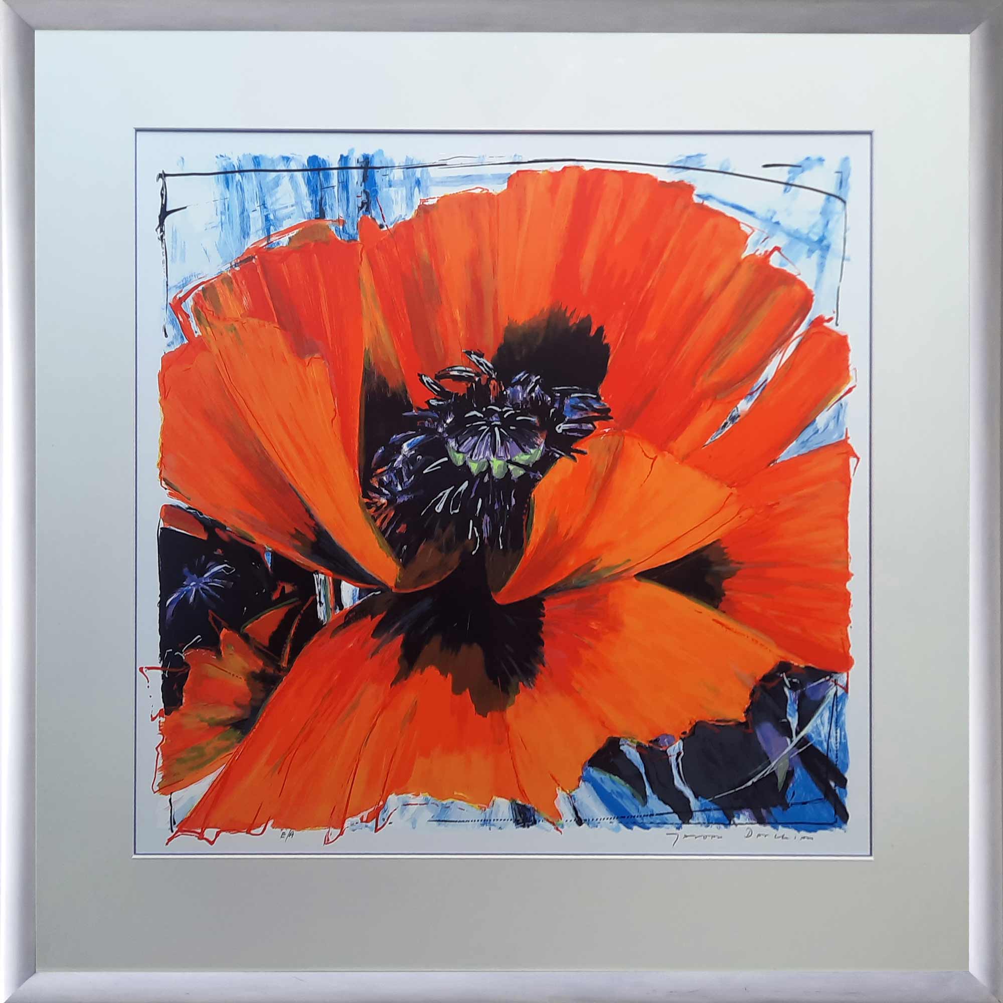 Featured image for “Papaver e/a”