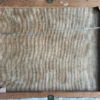 Berken langs Zandpad - Afbeelding 3
