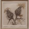 Distel 42/150 - Afbeelding 2