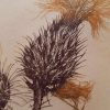 Distel 42/150 - Afbeelding 3