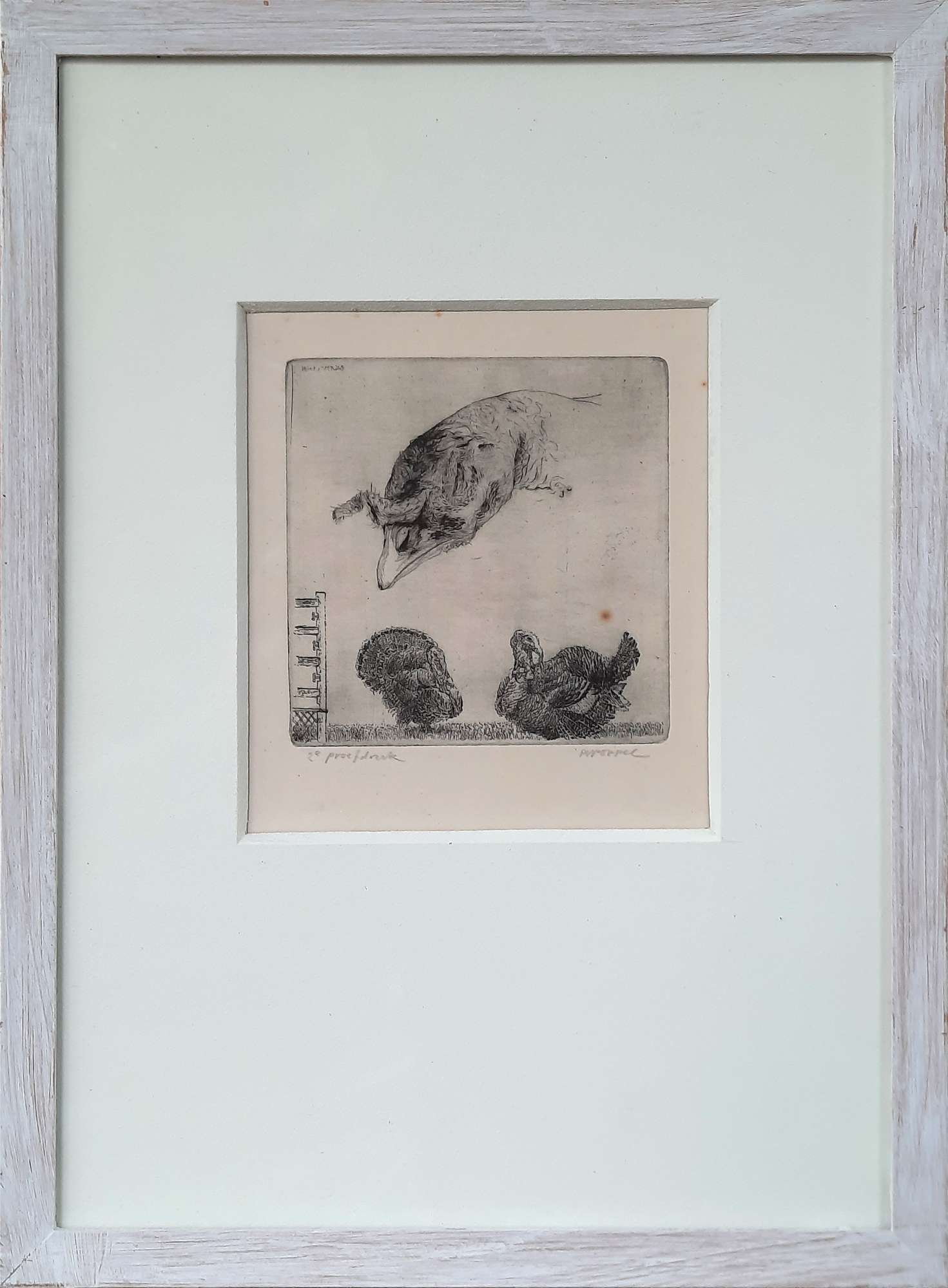 Featured image for “Kalkoen 2e proefdruk”