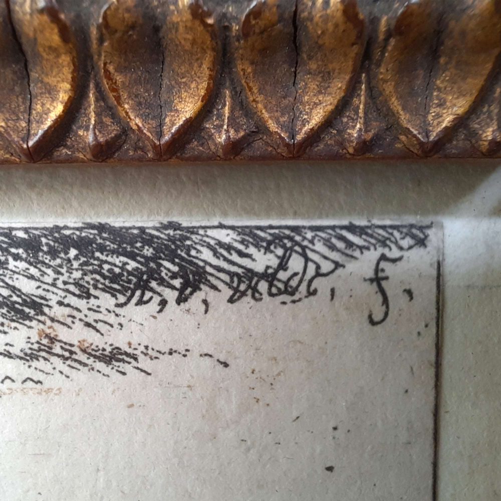 Liggende Geiten - Afbeelding 3