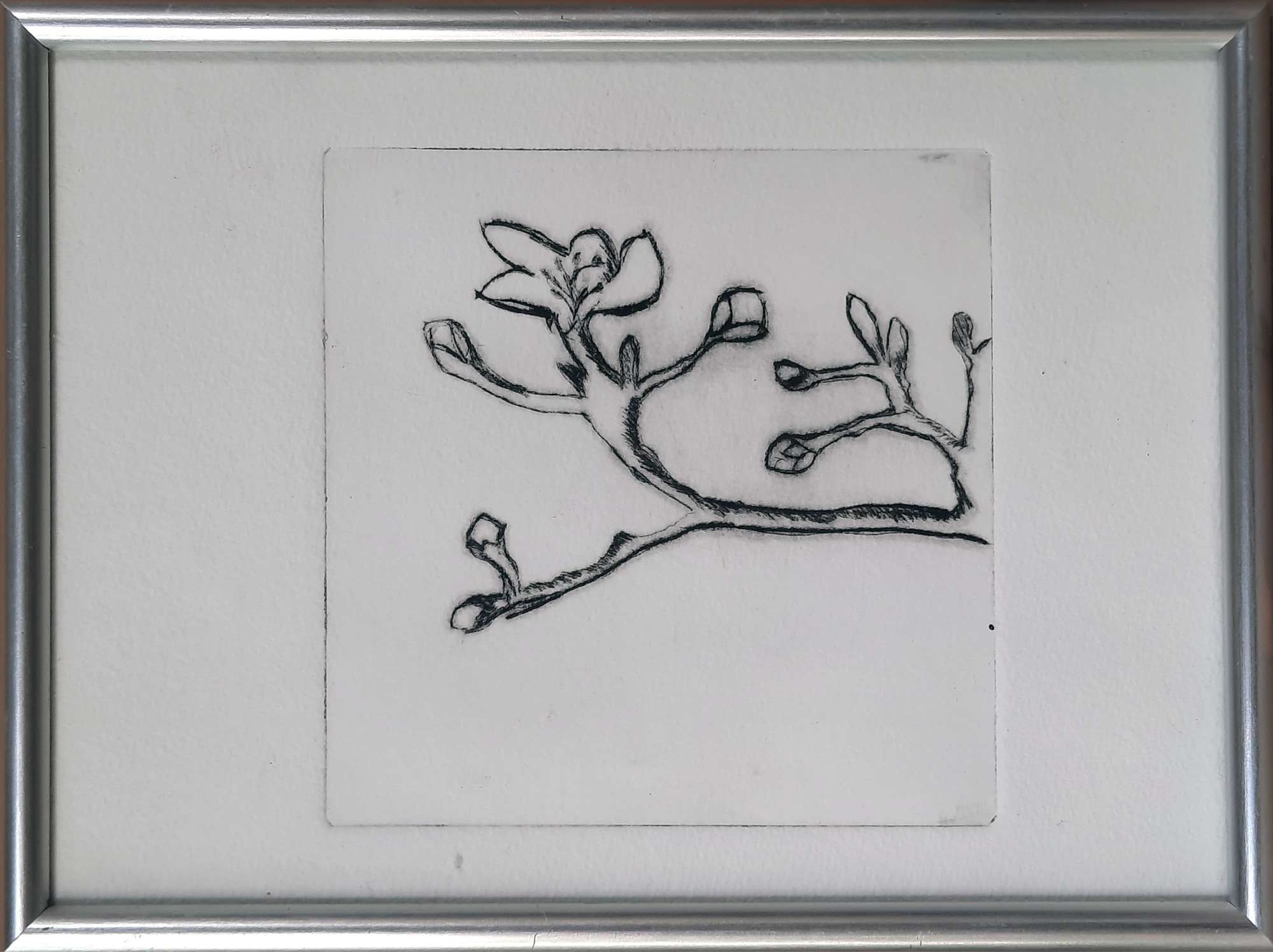 Featured image for “In de Knop”