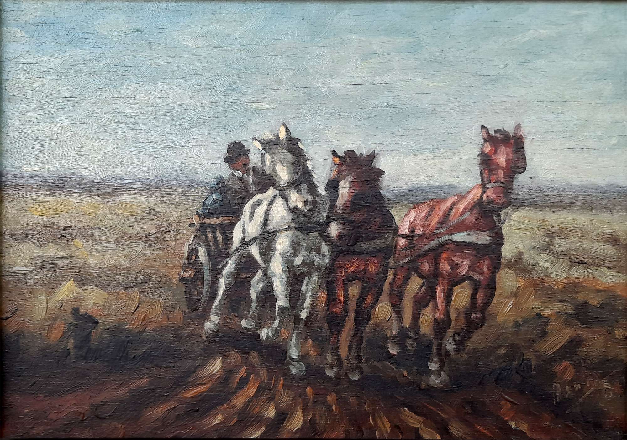 Featured image for “Paardenkar”