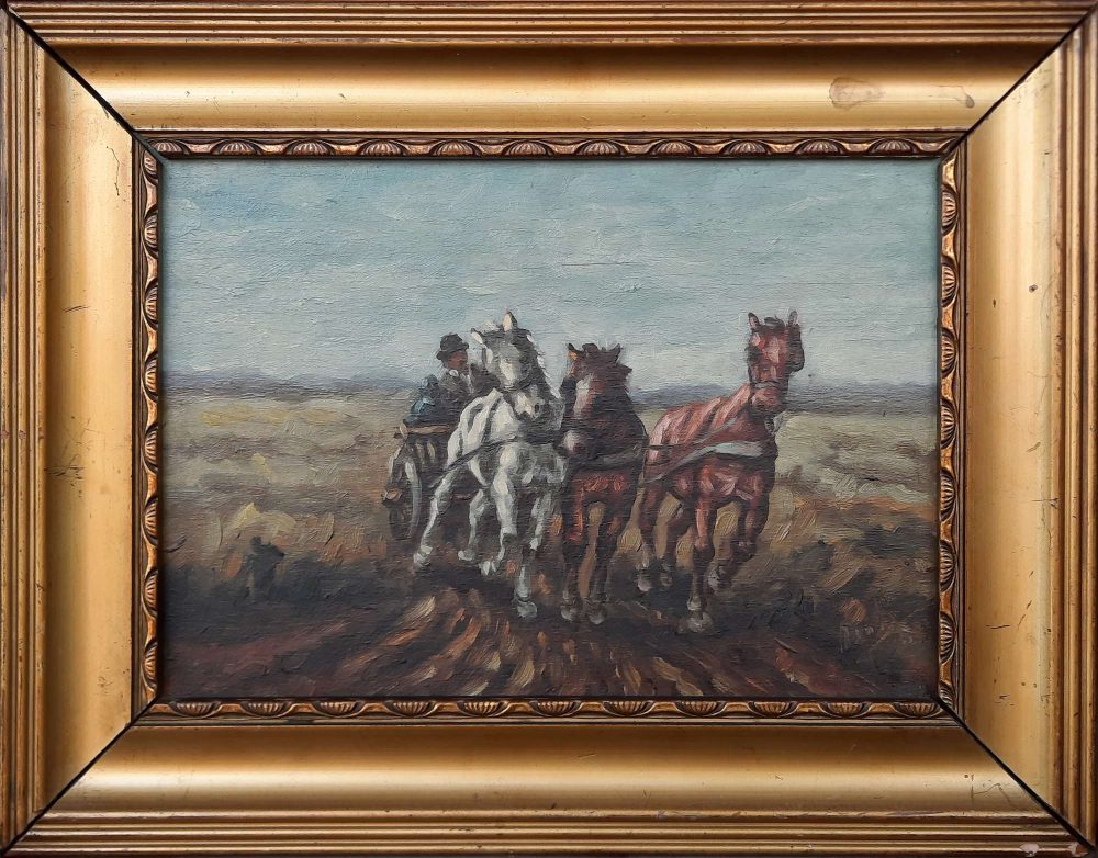 Paardenkar - Afbeelding 2