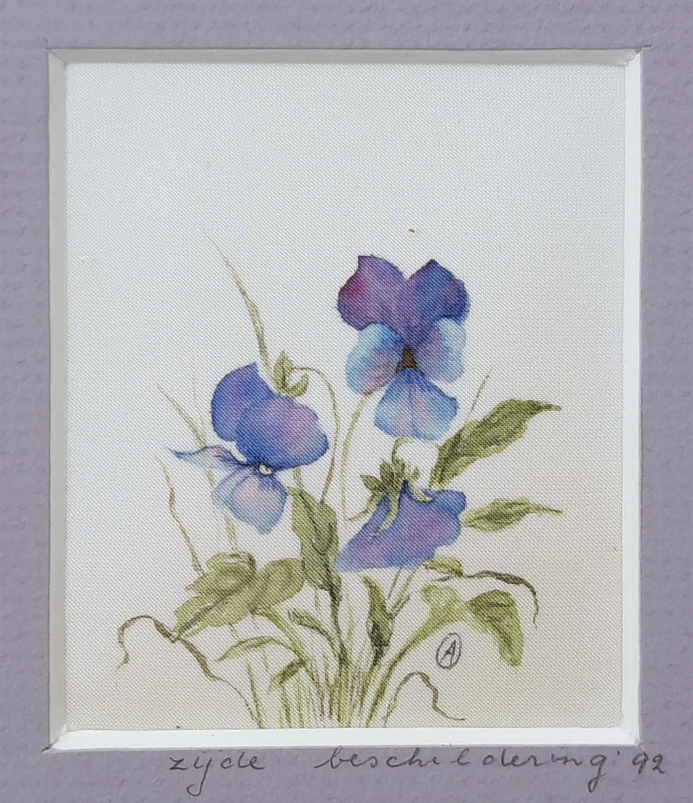 Viooltjes - Afbeelding 2