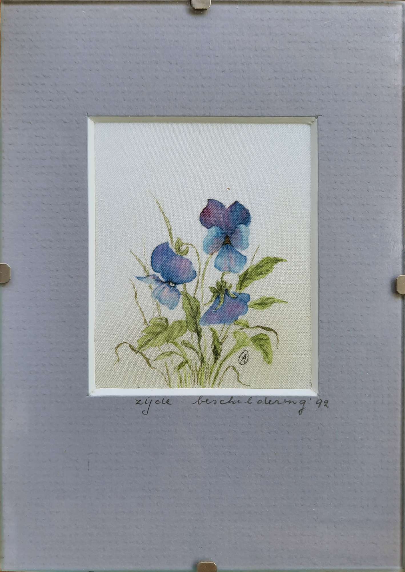 Featured image for “Viooltjes”