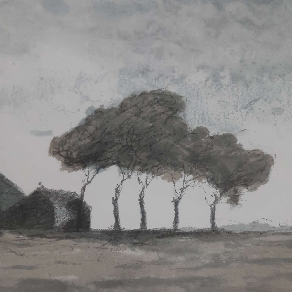 Boerderij III/XV - Afbeelding 3