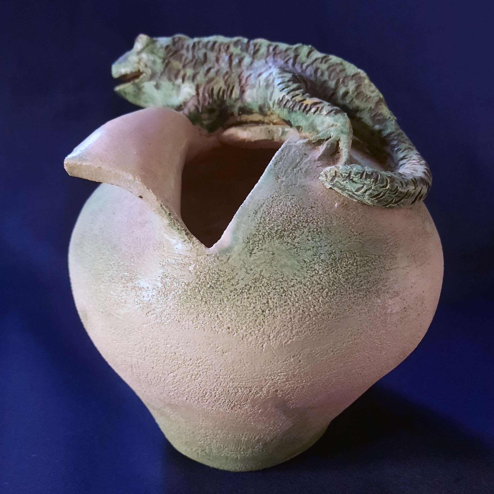 Featured image for “Reptiel”
