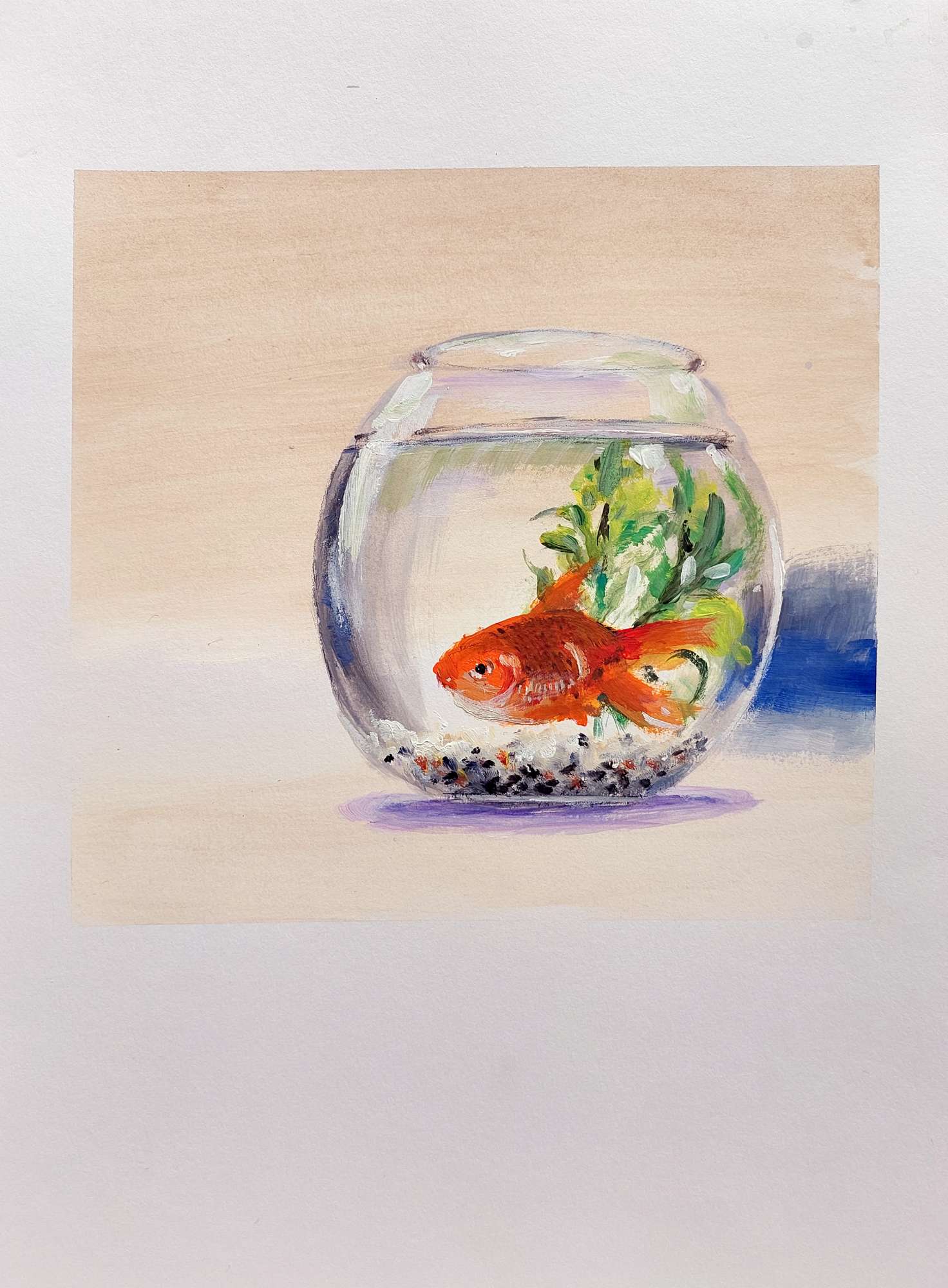 Featured image for “Goudvis met Kom”