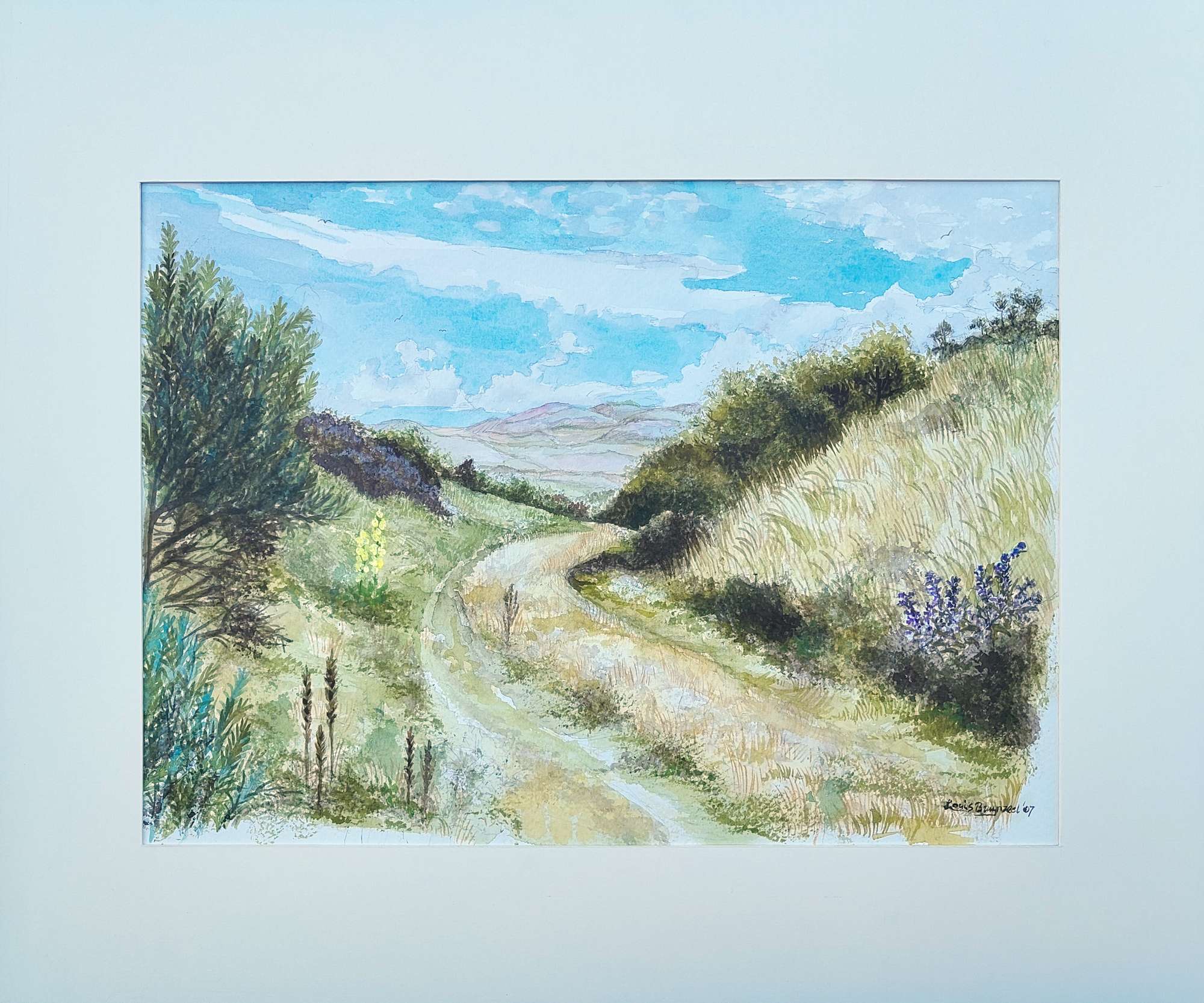 Featured image for “Noordhollandse Duinen”