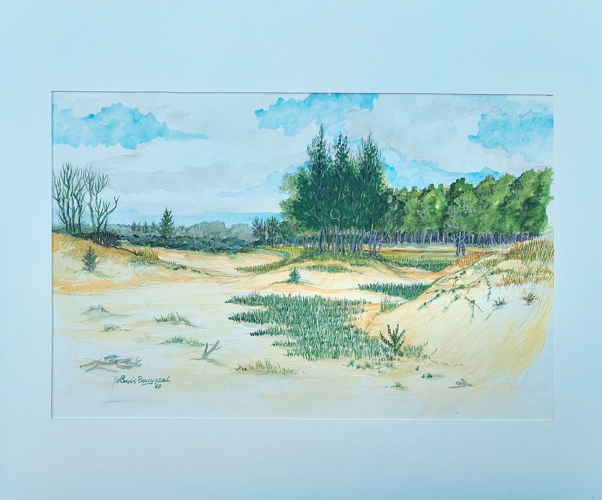 Featured image for “Noordhollandse Duinen”