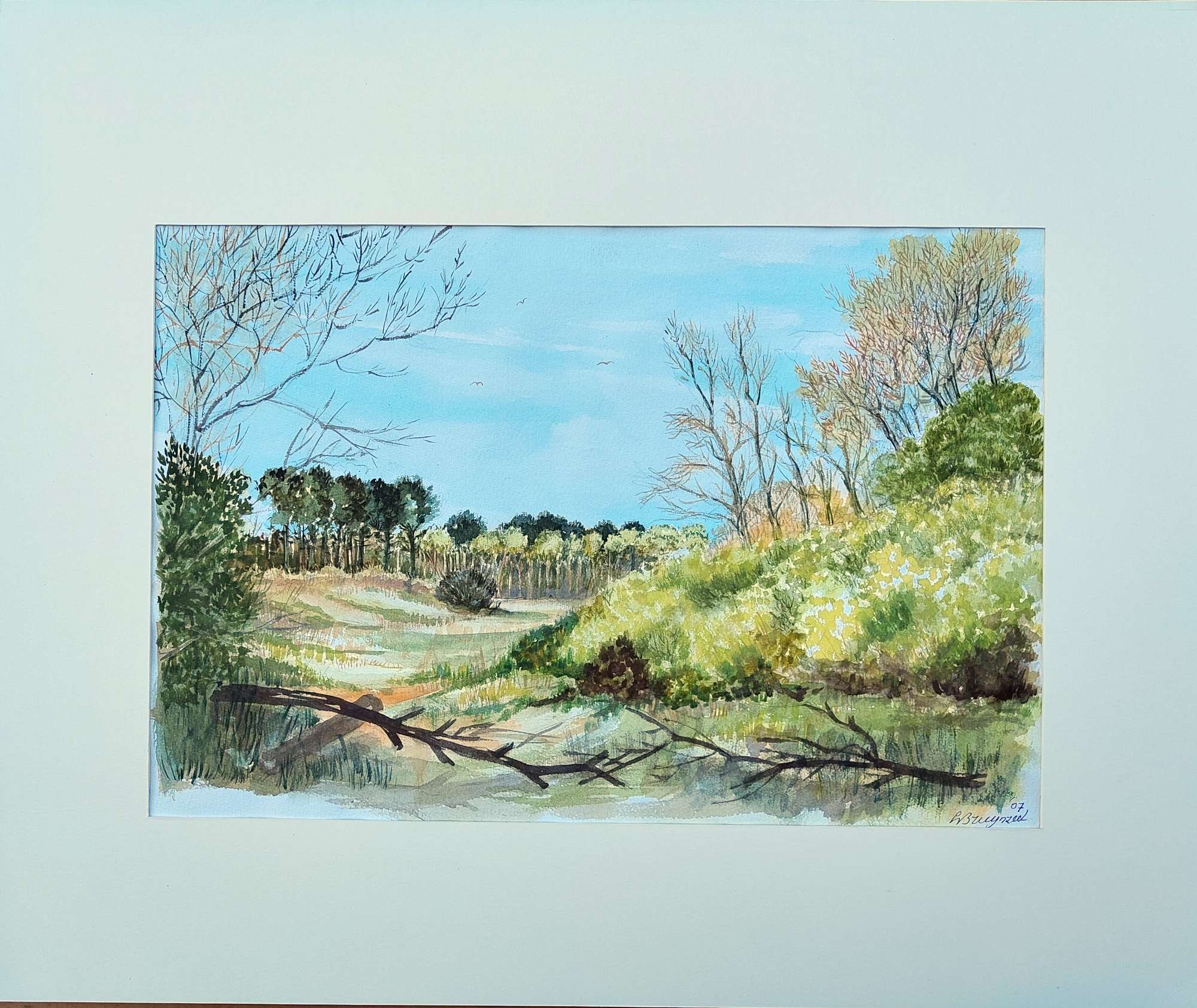 Featured image for “Noordhollandse Duinen”