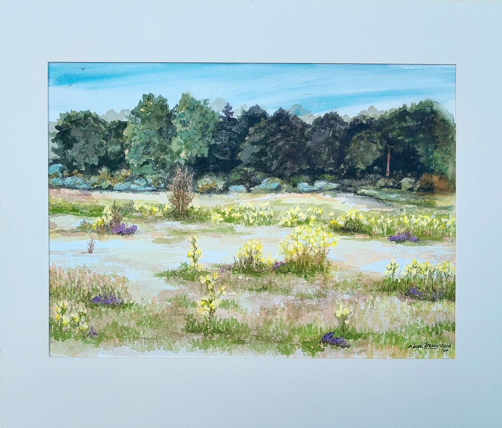 Featured image for “Noordhollandse Duinen”